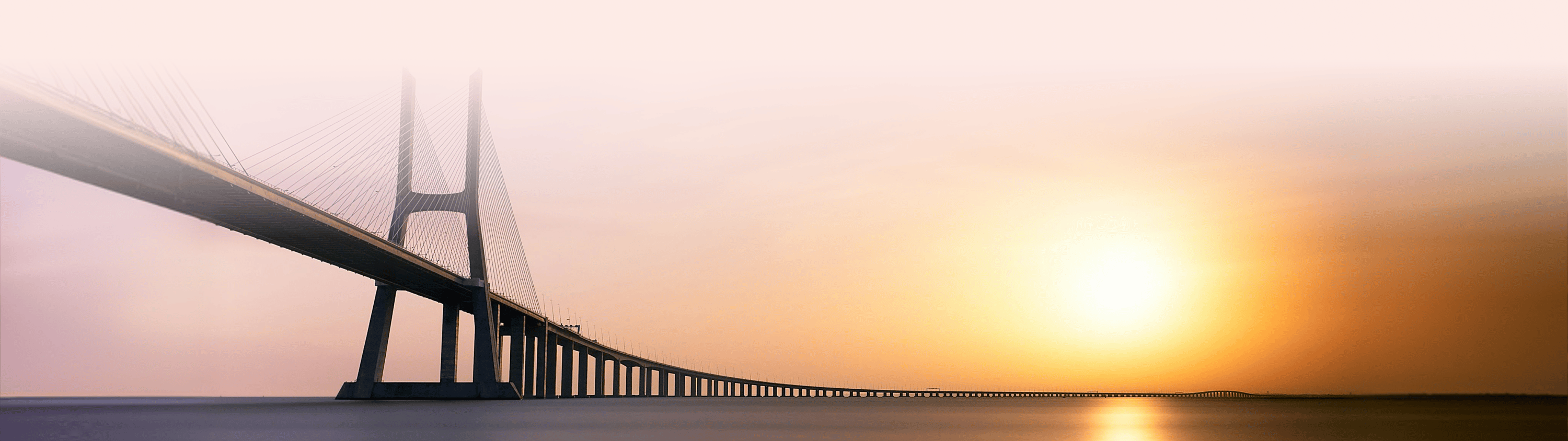 customer bridge banner