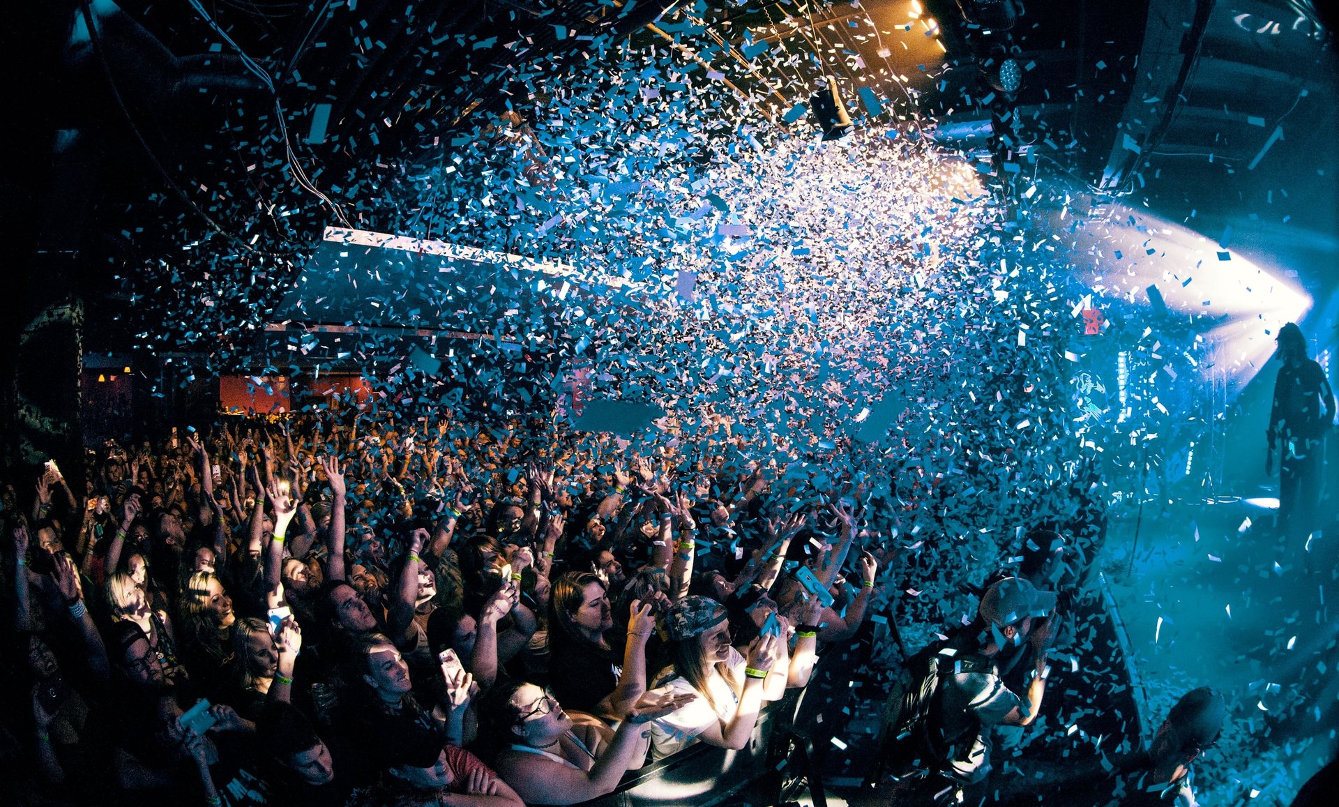 people at a concert