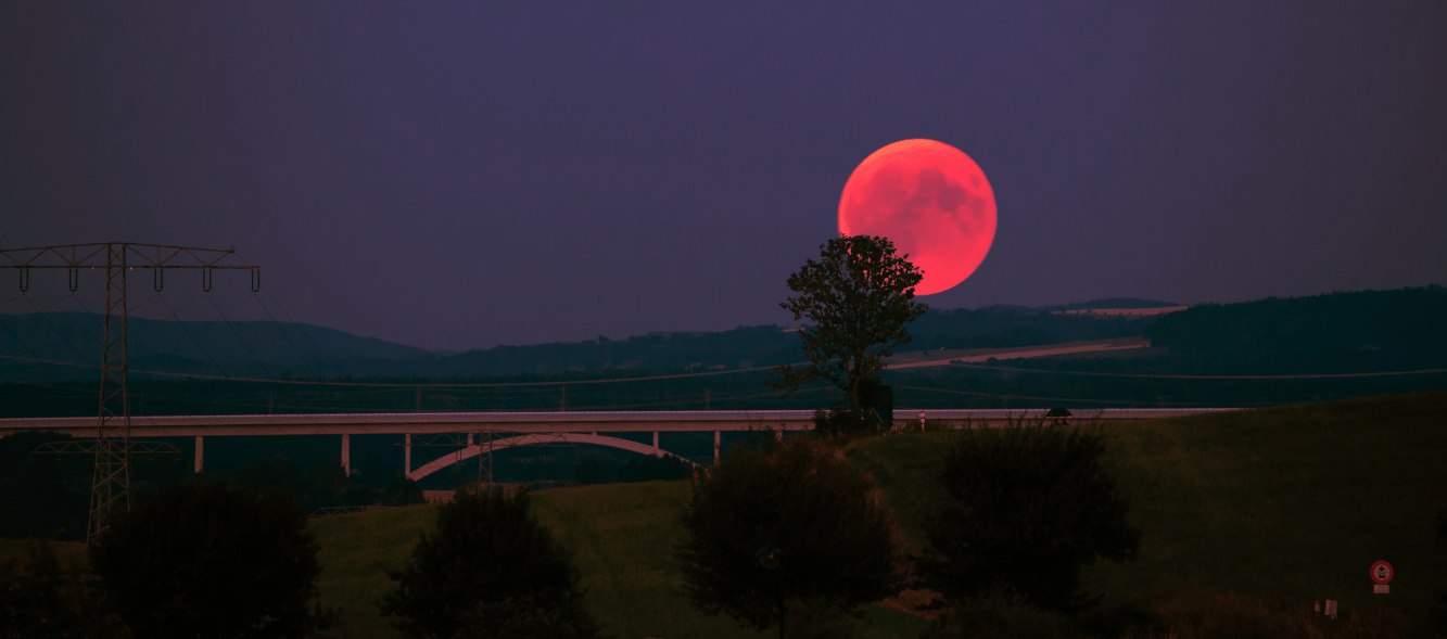 moonlight