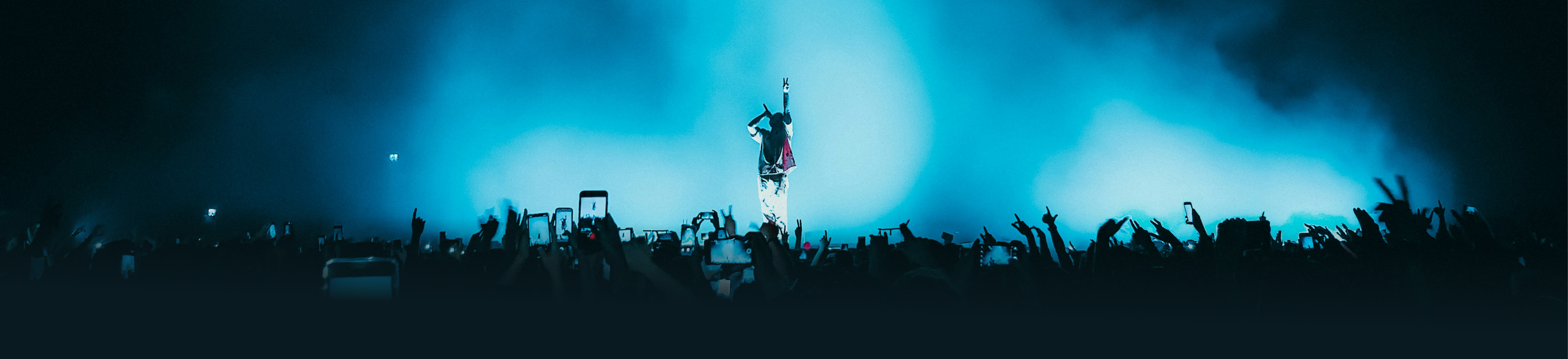 concert scene